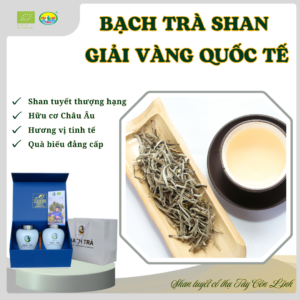 Set quà – Bạch Trà Shan Tây Côn Lĩnh (Organic EU)
