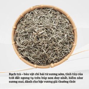 Bach Tra Shan Giai Vang Quoc Te 3