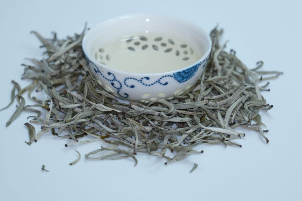 Bach Tra Shan Giai Vang Quoc Te Nam 2024