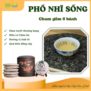 Phổ nhĩ sống Shan tuyết – Chum 6 bánh 357g | Tây Côn Lĩnh | Tiêu chuẩn hữu cơ Châu Âu