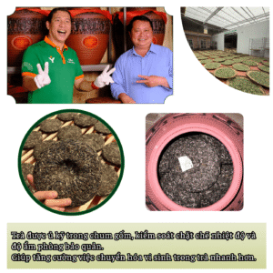 Qua Tra Co 10kg 3