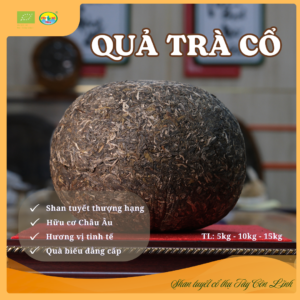 Quả Trà Cổ 10kg – Trà lên men sống