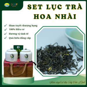 Lục trà Shan ướp hoa Nhài – Set quà biếu