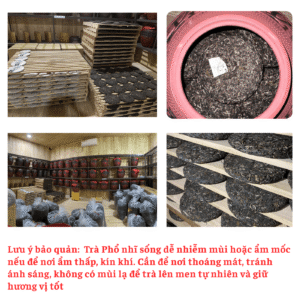 Tra Pho nhi song 4