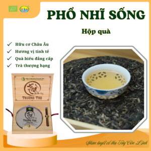 Trà Phổ nhĩ sống vụ Xuân 2020 vùng Tây Côn Lĩnh (357gram)