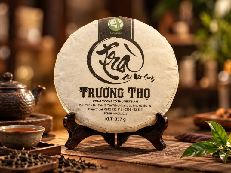 tra pho nhi song